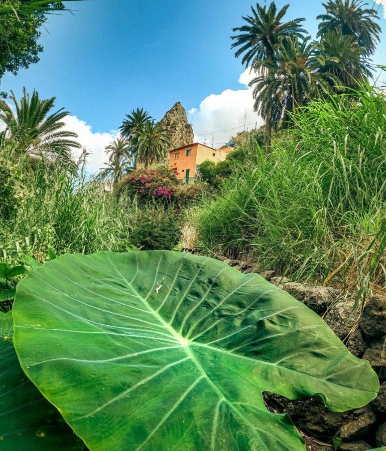 Casa Buganvilla Сasa de vacaciones *